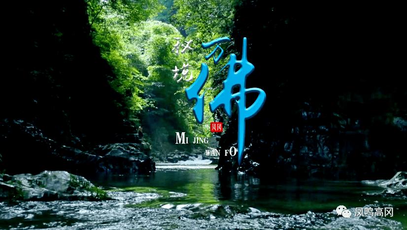 救援小洋葱
