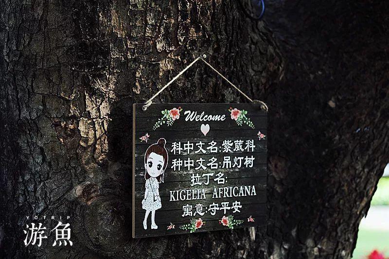 遗失之森